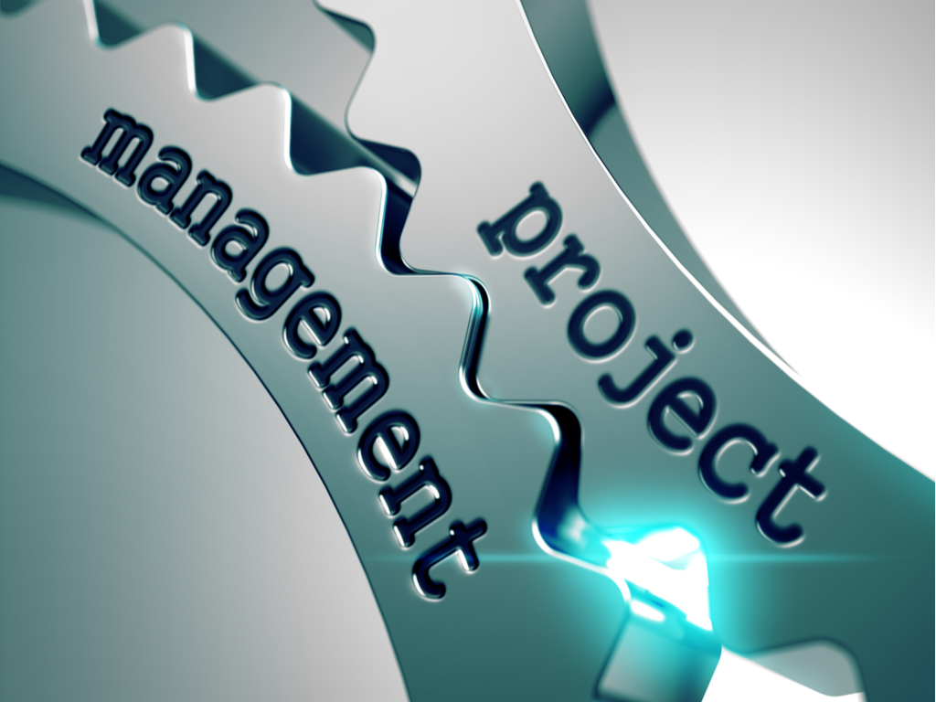 This image represents business consulting services provided by the TriFocal Advisor such as program and project management.